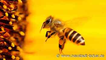 Aufhebung des Faulbrut-Sperrbezirkes Dresden-Neustadt - Neustadt-Geflüster