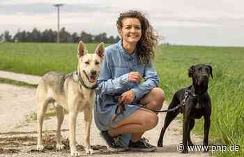 Feind jeder Bettwanze: Mischlingshund erschnüffelt Schädlinge - Altötting/Tittmoning - Passauer Neue Presse - PNP.de