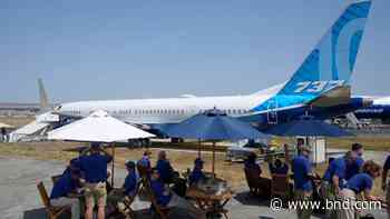 Aviation faces hurdles to hit goals for cutting emissions - Belleville News-Democrat