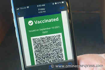 6-month suspension for B.C. nurse who created fake vaccine cards - Omineca Express