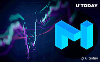 Matic Jumps 63% This Week After Spike in Network Activity: Details - U.Today