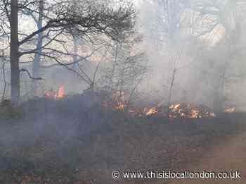 LIVE as London Fire Brigade tackle two grass fires in Croydon