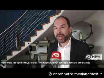 MOGLIANO VENETO | CONSORZIO ACQUE RISORGIVE: «SENZA IRRIGAZIONE IL 15 PER CENTO DEI TERRENI» - ANTENNA TRE