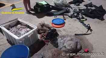 Setacciano le scogliere di notte e pescano cento chili di polpi: 18mila euro di multa - ilmessaggero.it