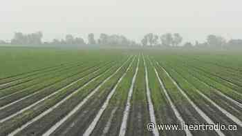 Town of Tecumseh launches Farm 911 Emily Project - AM800 (iHeartRadio)