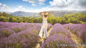 Cosa fare oggi (domenica 17 luglio) in provincia di Cuneo: gli eventi - Cuneo24