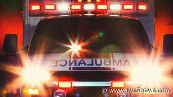 4-year-old dies after fall from 4th-floor window, police say - Live 5 News WCSC