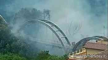 Incendio Ponte della Pace: proprietari dei terreni incolti rischiano multe sino a 10mila euro