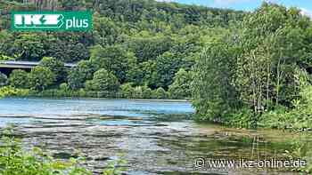 Iserlohn: Algen können für Seilersee zum Problem werden - IKZ News