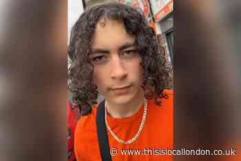 Missing Harlem Woodcock last seen in Croydon