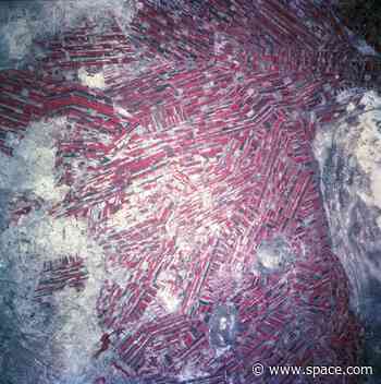 Space agriculture boldly grows food where no one has grown before