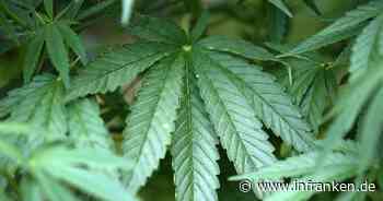 Cannabis-Industrie freut sich auf Legalisierung