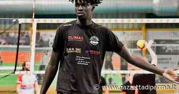 Bara Fall: il centrale di origini senegalesi, classe ’97, approda a Parma - Gazzetta di Parma