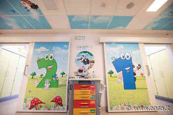 Pronto soccorso pediatrico di Parma è 'il bosco dei bambini' - Agenzia ANSA