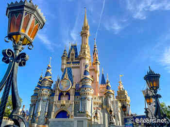 Painter's Tape, Rice Cookers and Other WEIRD Things You Pack for Disney World - allears.net