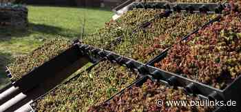 H₂-Stromspeicher, Dachpflanzpfanne, Holzalternative und „Kalkspeicher“ gewinnen DGNB Sustainability Challenge 2022