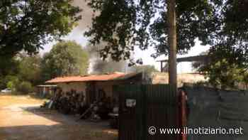 Incendio Paderno Dugnano, fumo da Calderara: bruciano gli orti - Il Notiziario