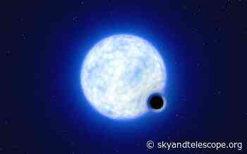 A Black Hole Lurks in a Galaxy Near Our Own