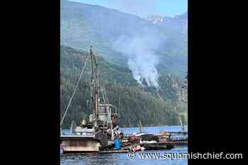 Small wildfire north of Egmont starts July 14 - Squamish Chief