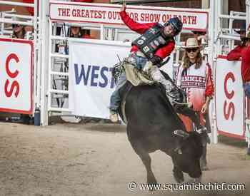 Bull rider Buttar fit to be tied in Stampede rodeo - Squamish Chief
