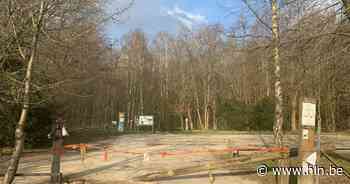 Tot 36 maanden cel voor trio dat gasolie aftapt in Tangebeekbos - Het Laatste Nieuws