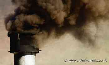 Climate changes puts nearly one in three species at risk of extinction by 2100, study shows