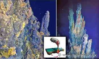 Huge hydrothermal field 8,366 feet below the Pacific Ocean's surface resembles a candelabra