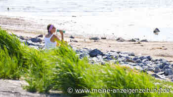 Geld verdienen im Ausland: Was Auswanderern die Jobsuche erleichtert