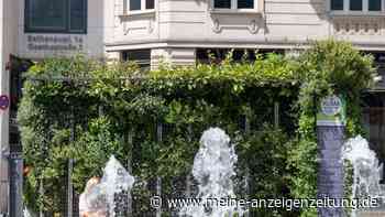 Millionen für Stadtentwicklung gegen Hitze und Extremwetter