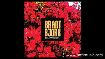 Brant Bjork Shares New Song 'Trip On The Wire' - antiMusic.com