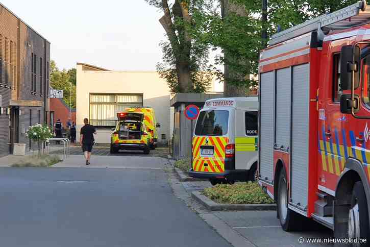 Alle leden meisjeschiro Sint-Lutgard zijn thuis na stopgezet kamp door hitteslag, leiding blijft nog tot woensdag op kampplaats