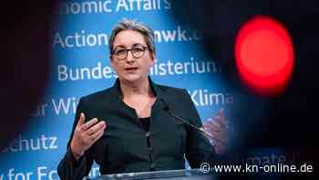 Wie Bauministerin Geywitz Städte für den Klimawandel fit machen will