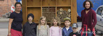 Kinder machen neues Nabu-Insektenhotel in Hermannsburg bewohnbar - Cellesche Zeitung