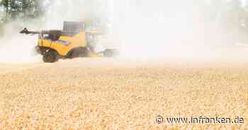 Bauernverband: Schäden durch Trockenheit bei Weizenernte