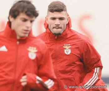 Time francês faz nova proposta por formado em Cotia do Benfica; São Paulo de olho em bolada - Arquibancada Tricolor