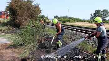 Brände sorgen für Zugausfälle zwischen Salzgitter und Goslar