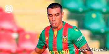 Un po' ala destra e un po' trequartista, Peralta alla corte di Boscaglia - L'Attacco