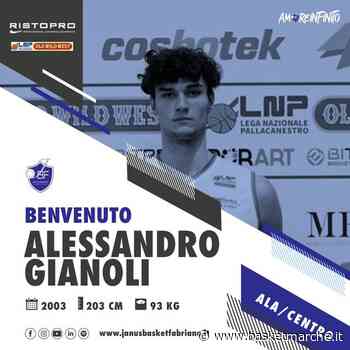 Ufficiale, la Janus Fabriano ingaggia l'ala-centro Alessandro Gianoli - Serie B - Basketmarche.it
