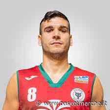 Pallacanestro Senigallia, interesse concreto per l'ala Matteo Santucci - Serie B - Basketmarche.it