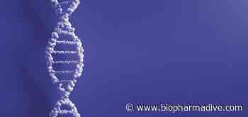 Editas names new chief medical officer in latest executive change-up - BioPharma Dive
