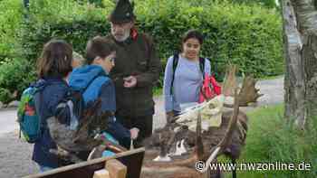 Hegering Rastede Nord: Grundschüler lernen bei Waldspielen Natur kennen - Nordwest-Zeitung