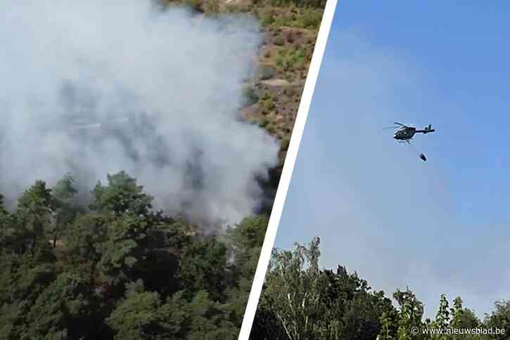 Brand in Oudsbergen breidt uit: helikopter ingezet en vier kampplaatsen tijdelijk geëvacueerd