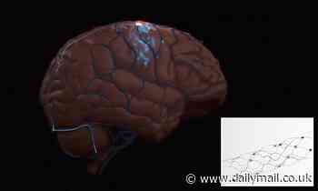 Brain startup beats Elon Musk's Neuralink - putting implant into brain of ALS patient in NYC