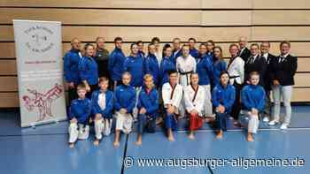 Taekwondo: SG Krumbach sammelt Medaillen bei bayerischer Meisterschaft | Mindelheimer Zeitung - Augsburger Allgemeine