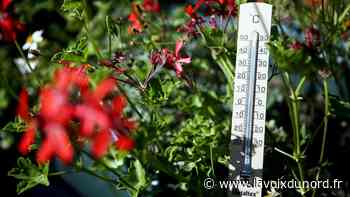 Le record absolu de chaleur battu cet après-midi à Maubeuge - La Voix du Nord