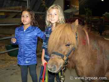Powell River Fall Fair returns this September - Powell River Peak