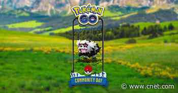 Pokemon Go's August Community Day Will Star Galarian Zigzagoon     - CNET