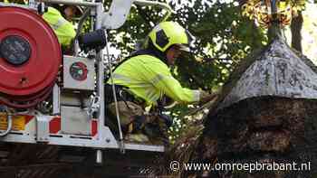 112-nieuws: Kapel in brand in Sint-Oedenrode • balen hooi geblust - Omroep Brabant