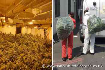 Police move in as residents discover cannabis farm