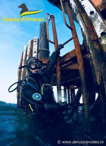 Gdf Pescara: pescatori di frodo fanno razzia di polpi. I finanzieri di mare sequestrano pescato ed attrezzature e verbalizzano i malfattori - Abruzzo in Video